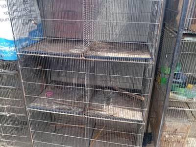 Birds cages