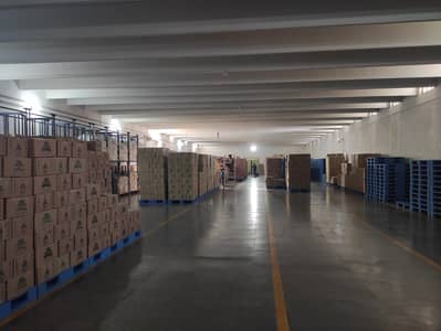 8 Kanal   Factory Available For Rent