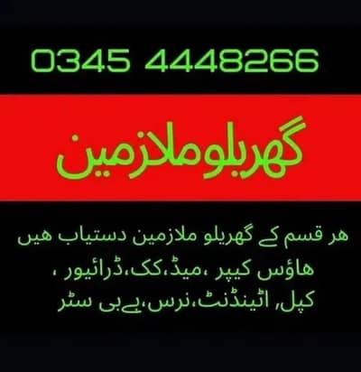 PROFESSIONAL MAID BABY SITTER PATIENT ATTENDENT COOK HELPER CHEF NURSE