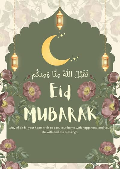 Donate a cat for cat female