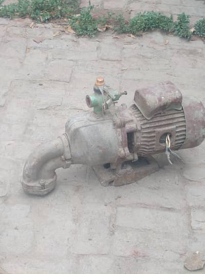 Shehzad Company Pump