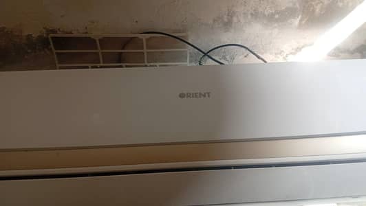 5 ac Hain 03118090801