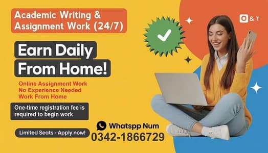 academic writing and assignment work (24/7)