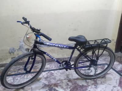 new cycle