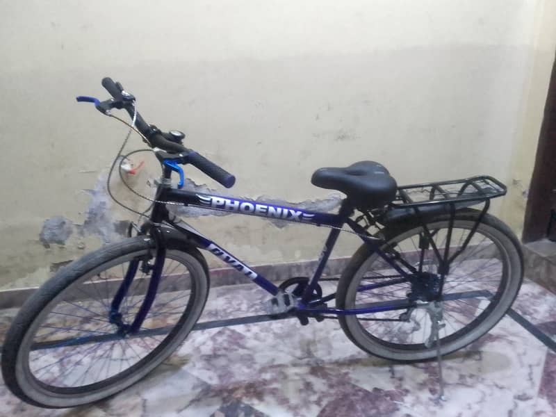 new cycle 0