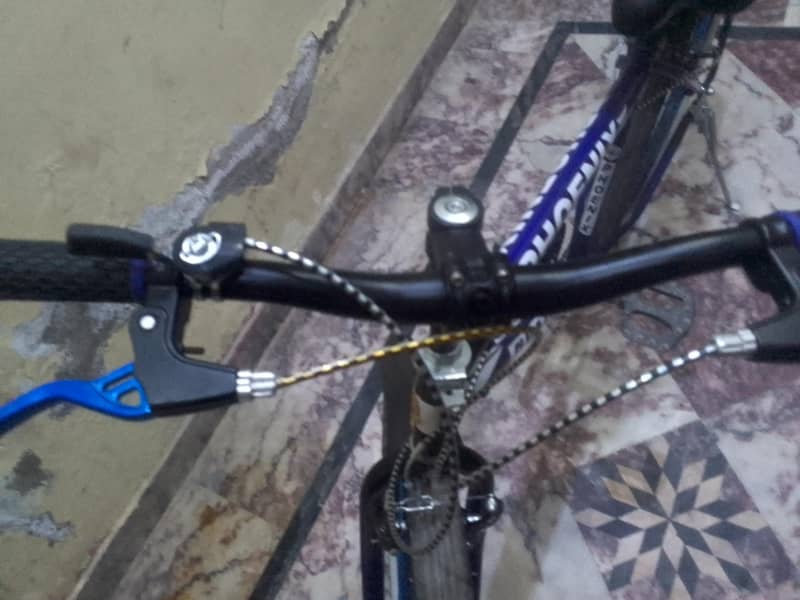 new cycle 2