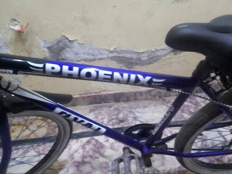 new cycle 3