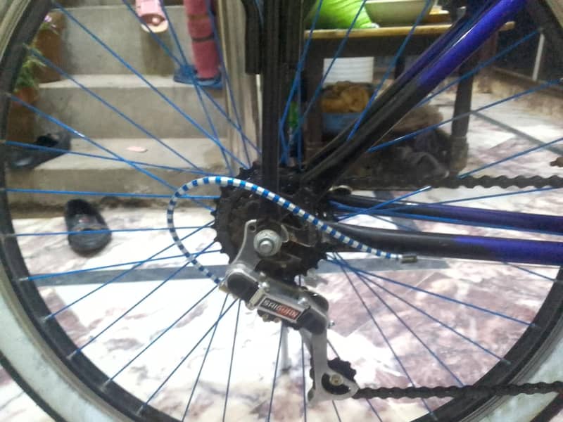 new cycle 6