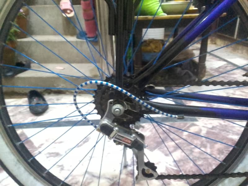 new cycle 7