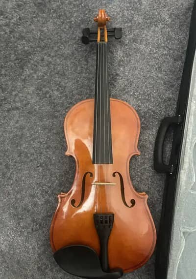 Professional Violin  New Imported
