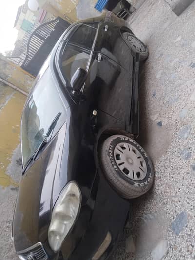 cat Pilar cinyan said Sarwar Annar cinyan injan 03485136987