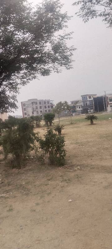 6 Marla Category Option