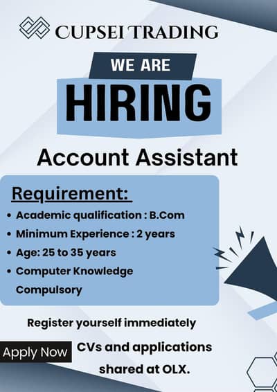 Accountant / Account Assistant