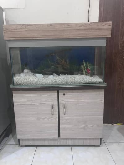 Fish Aquarium For Sale