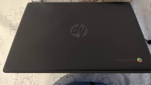 Contact Number 03175139831