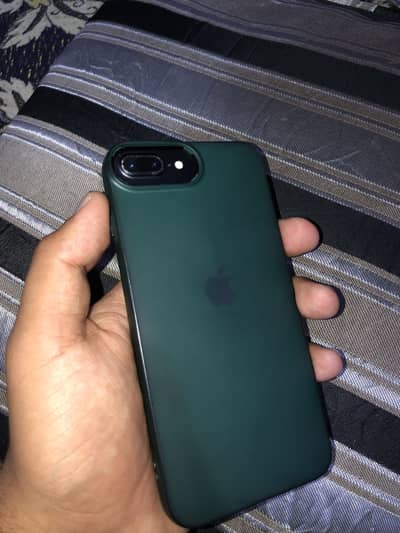 Chasky walay Durr rhy