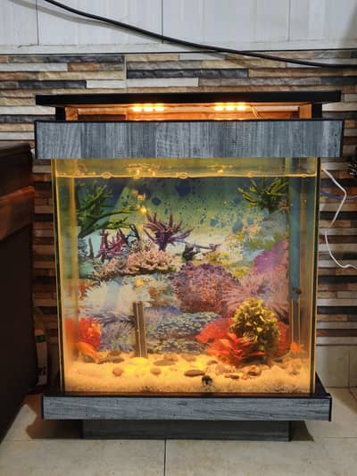 Aquarium for Sale – Excellent Condition