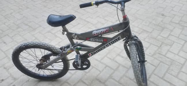 cycle for 6 to 12 years boys