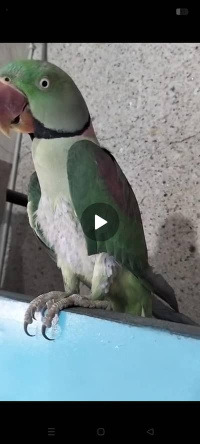 ہینڈ ٹیم کشمیرراا