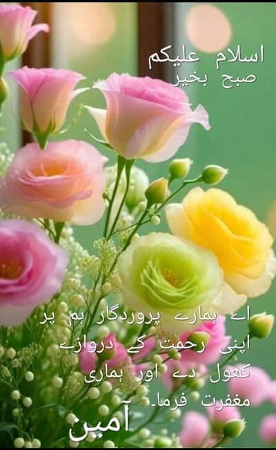 گائنا کالوجسٹ کے لیے کلینک رینٹ اور شیئر پر دستیاب ہے