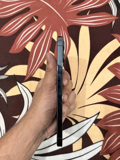 Iphone 12 Pro Max 128 GB