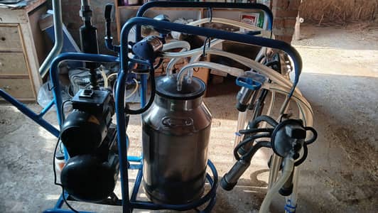 cow milking machine available for sale