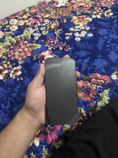 12 pro max (non pta)