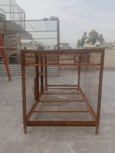 cage for hen and pegion