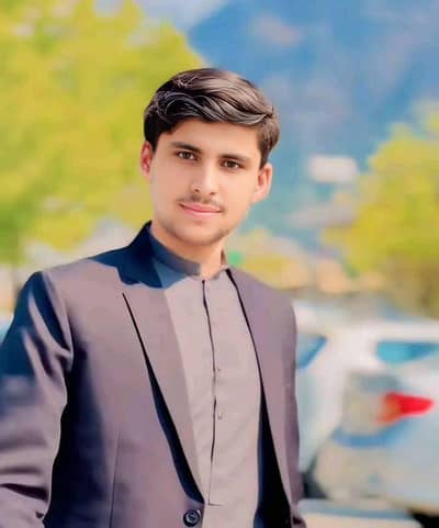 Professional Pharmacy Experience