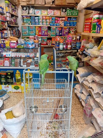 i am saleing my raw peret