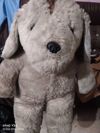 Teddy bear hn. . . . urgent sale krna hn. . . .