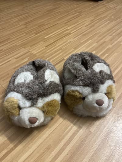 Raccoon Shoes