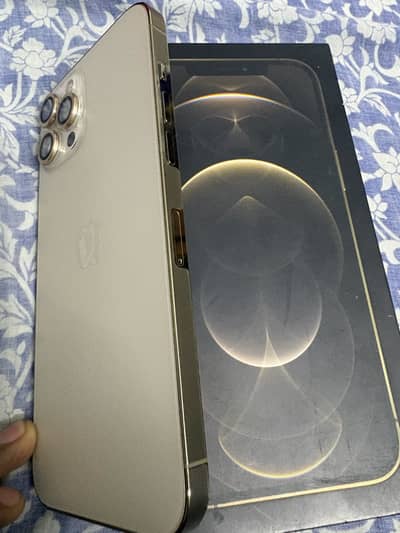 Iphone 12 pro max pta approved