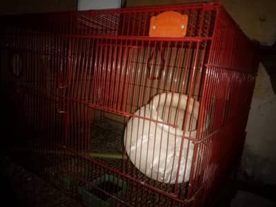 pets cage