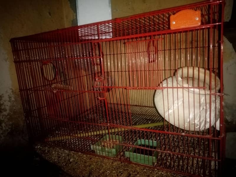 pets cage 1