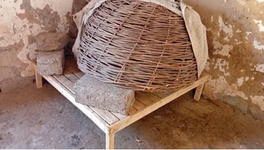 Heavy Goat pallets for sale