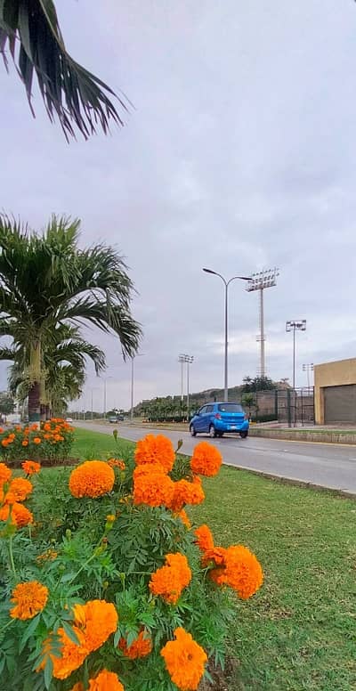 Naya Nazimabad Com 50  Ashaab Builders  Stadium View Residencia  Main Road Facing Apartments