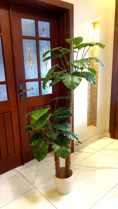indoor Artificial plant