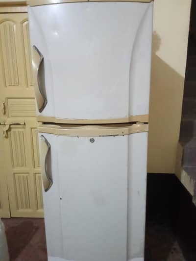 PEL medium size refrigerator