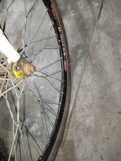 phoniex  cycle 03294353091