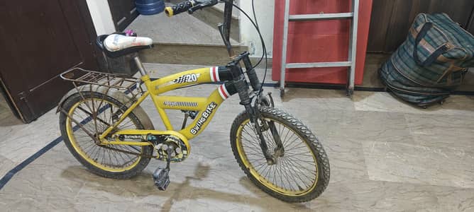 Imported Bicycle Size 20