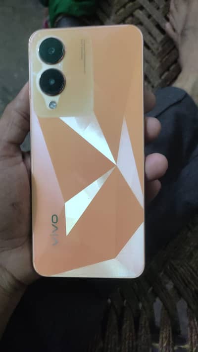 03153668102 vivo y17s only exchange