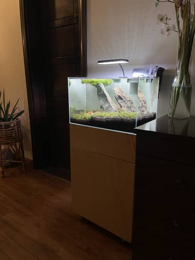 Ultra clear crystal glass imported aquarium