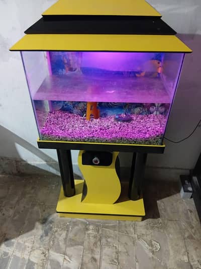 Fish Aquarium
