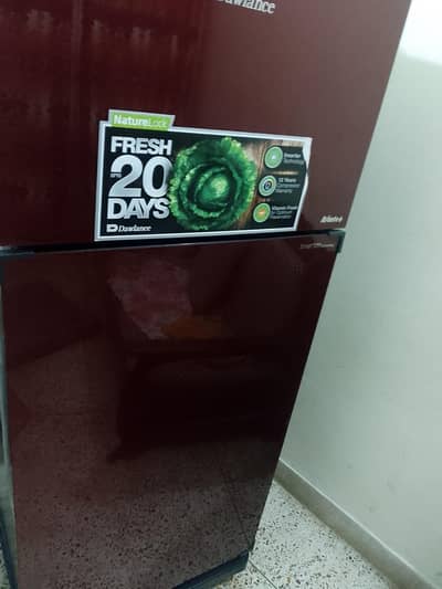 Model 9173 WB avant+