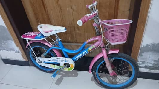 Good condition, lightly used, everything working perfectly