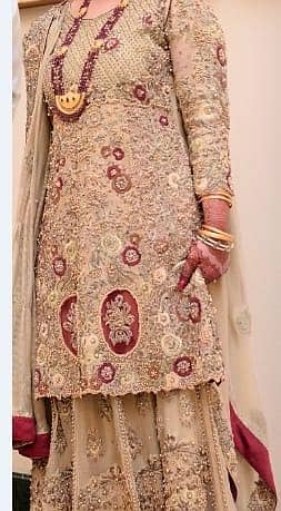 Designer inspired gold n maroon