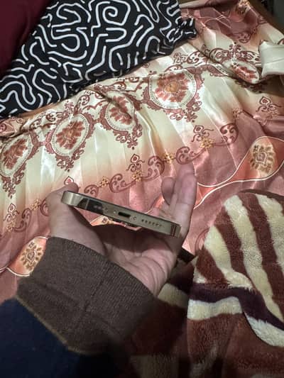 13 pro max 256gb dual physical Approved