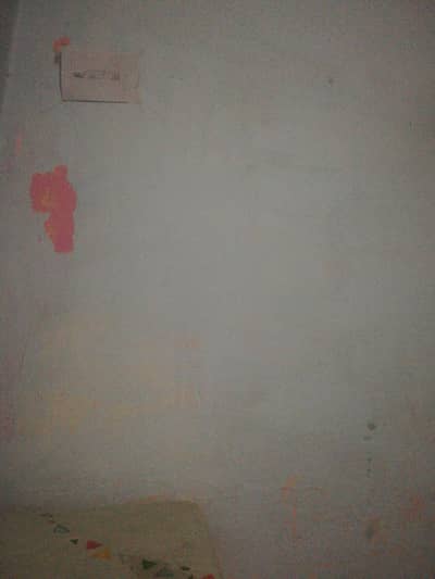 femail ki need h office ke liye