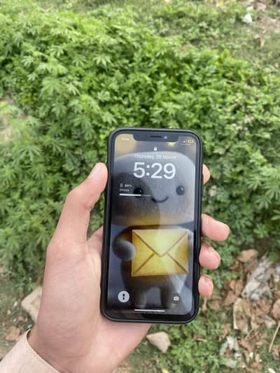 iPhone X PTA approved 256 GB